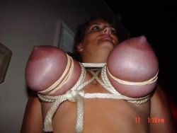 tightandpurple:  Huge tits roped AND rubber banded, to great effect - ALL big tits should be treated this way! ref 135 - 17/01  marvelous
