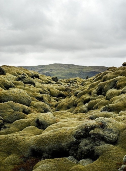 knifella:  TOAST – AW 14 Lookbook shot in Iceland