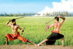 arjuna-vallabha:Kalaripayattu martial art, Kerala
