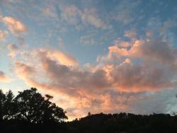 hearts-remade:  lazeyguava:  The clouds reflected on my pool and it looked really beautiful.       