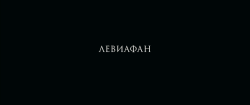 artfilmfan: Leviathan (Andrey Zvyagintsev, 2014) cinematography: Mikhail Krichman   