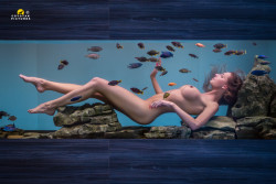 500pxpopularnude:  AQUARIUM by coyotakpictures , via http://ift.tt/1jGYM8Z 