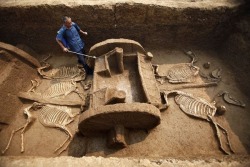 Photograph by Zhang Xiaoli, Xinhua via Fame/Barcroft To protect it from drying out, a worker sprays water onto a millennia-old chariot recently unearthed in the city of Luoyang (map) in central China. Overall, 5 chariots and 12 horse skeletons were found