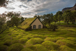 archatlas:  Fairlytale Scandinavian Green RoofsScandinavians are serious about their green roofs. They’ve had them for a while now and it doesn’t look like they’re going anywhere. They even have a competition every year to determine the best green