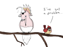 ariofthesea:  Fabulous Cockatoo: 1 Japanese Angry Bird: 0 Based off of this fantastic vine by Tom Sanders Also please please click each image I swear they’re not grainy and it’s Tumblr fucking that up -_- 