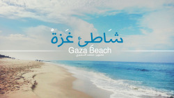 m7madsmiry:  صُوَر ألتقطتها وانا في طريقي لـ ” البحر ” #بحر #غزة #خانيونس .  بتمنى من الجميع المساعدة في النشر  ..  #مجموعة 3