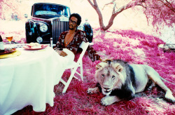 telvi1:  torpidthirstiness:  taurean-the-bully:  carefree-melanin:  brandonousley:  David Ruffin, photographed by Jim Britt (1975).  David was THAT nigga   ^^Yes!  Crack will have you feeling invincible  At first I thought this was Pootie Tang