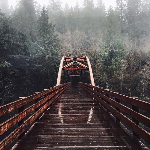 Мостът към гората Tumblr_o3t30uqmpH1rsezm9o1_500
