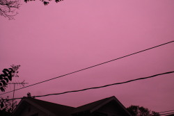 oh-pee-um:  for some beautiful reason there were pink clouds outside my house today 