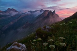 softwaring:  Alpstein Mountains in the morning Alpglow, Switzerland; Dominik Baer 