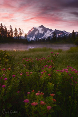 woodendreams:  (by Candace Bartlett) 