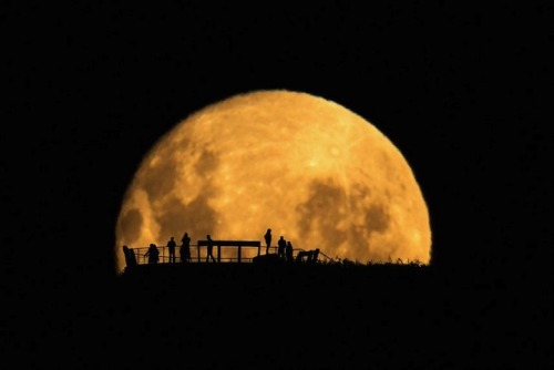 Moon Silhouettes by Mark Gee (Australia)
