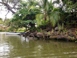 idriver-art:  Lake Nicaragua and the jungle