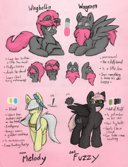 OC Reference Sheet - someone requested it once. There you go. It&rsquo;s mostly SFW (except the text) Um I will let people decide themselfs which color the gentials have. It will be just a simple darker shade of their coats.