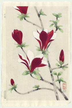 petitcabinetdecuriosites:  (via Original Nisaburo Ito, Japanese painter 1910 – 1988, Japanese Woodblock Print. Magnolia | Japan | Pinterest)  