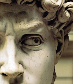 ghostlywatcher:    Details of Michelangelo’s masterpiece “David” (1501–1504)   