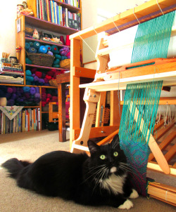 lisa-rayner:I’m almost done weaving my mermaid scarf. Pablo really likes the participatory weaving made available by the fact that I weave with the loom on the floor or leave it resting vertically against my floor loom or treadle sewing machine.