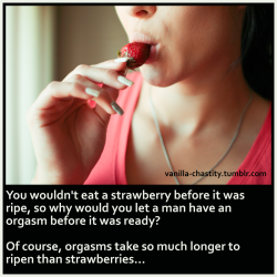 vanilla-chastity:  You wouldn’t eat a strawberry before it was ripe, so why would you let a man have an orgasm before it was ready? Of course, orgasms take so much longer to ripen than strawberries… 