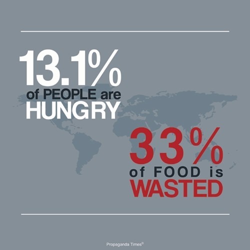 Facts On World Hunger
