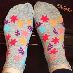 ohmandy56:  Fall socks 🍂🍁🐾 
