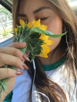 yellowart:  So I’m in love with sunflowers 🌻 