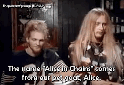 frenchgirl1999:  Alice In Chains at its finest. 