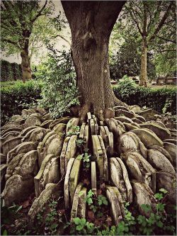 congenitaldisease:  The Hardy Tree In the churchyard of St Pancras Old Church in London, hundreds of old gravestones circle an ash tree. In the 1860’s an older part of the churchyard was designated to make way for a new railway line. Coffins were removed