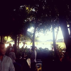 Beers at Guannabannas. #paradise #southflorida