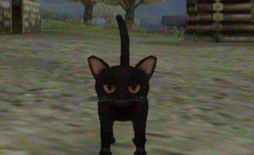 lowpolyanimals:    Black Cat from Harvest Moon: A Wonderful Life  