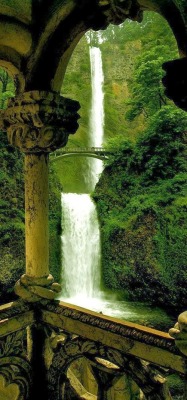 thetallestmanonearthposts:  gyclli: Silver Falls State Park, Oregon incredible-pictures.com 