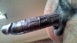karlikunt:  ALL IT TOOK FOR MS. KARLI KUNT WAS ONE LOOK AT A STIFF, LONG, THICK, BIG BLACK COCK LIKE THIS ONE TO KNOW THAT SHE WAS NOT A REAL MAN, NEVER WAS AND NEVER WOULD BE AND THAT SHE COULD NEVER, EVER COMPETE WITH SUCH A SUPERIOR LOVE MAKING, ORGASM