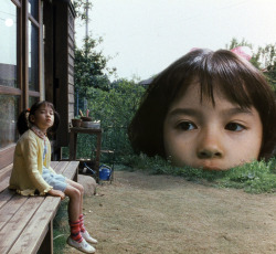 bewareofmpreg:  The Taste of Tea (2004), dir. Katsuhito Ishii 