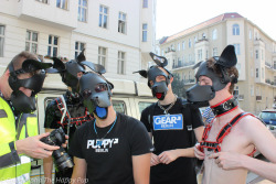 Human pups out and about “walkies” at Folsom BerlinYou can learn more about human pup play here: http://SiriusPup.net http://TheHappyPup.com http://PupSafeProject.org 