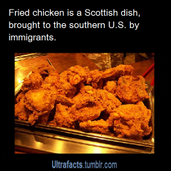 ultrafacts:ghoti-pi:sad-eyed-lady-of-the-low-lands:phabale-rose:  adderxall:   ultrafacts:  Source For more posts like this, CLICK HERE to follow Ultrafacts   THANK GOD FOR SCOTLAND   I was wondering why I wasn’t surprised. Then I remembered, Scots