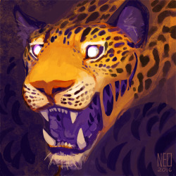 neogeen: A jaguar with a strange smile…for my friend Ral.  
