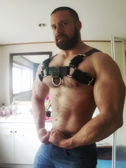 beastpup:  My first ever harness came in the mail today! Direct from Mr.S Leather in San Francisco, and big thanks to @pupamp for helping me choose which one to get! This is the Back Alley Bulldog design and I’m just loving how it feels!Now to find