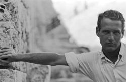 hollywood-portraits: Paul Newman photographed by Leo Fuchs, 1959.