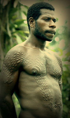indigenouswisdom:Kinangara man from the Sepik River, Papua New Guinea.Many tribes from along the Sepik believe that reptiles crawled out of the river and became humans. In honor of their reptilian gods, when boys become men they endure a torturous ritual.