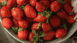 freshcravings:  #Strawberry season has arrived.