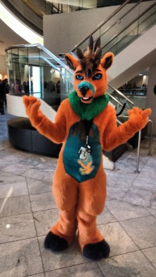 I was at Furry Weekend Atlanta the past two days, if you hadn&rsquo;t guessed. Lotta fun, managed to get @woggywoowoo to tag along, got drunk at three in the afternoon, hung out with cool peeps, and got to meet @braeburn who&rsquo;s a pretty cool guy,
