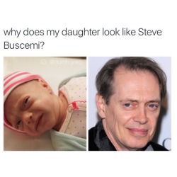 stability:  im screaming why does this child look 40 years old omg   dont you mean why does steve buscemi look like a baby?