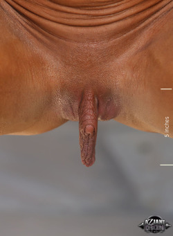 pussymodsgaloreHairless pussy with a prominent clit and stretched inner labia. As a pussy mod, stretched inner labia is one of the easiest to do, you just need to keep pulling on them regularly as in the bottom two photos! In one particular culture stretc