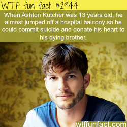 wtf-fun-factss:  13 years old Ashton Kutcher -  WTF fun facts