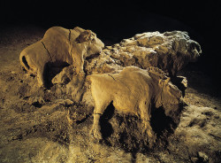 archaeoart:14,000 year old bison sculptures, Le Tuc d’Audoubert cave, Ariege, France, circa 2016.