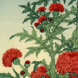 aloe-falsa-deactivated20170621: Katsushika Hokusai (1760 - 1849), Flowers.