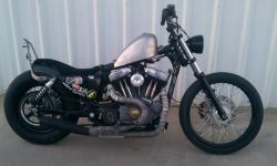 When I go live in Oakland and make enough money doing sex work and music, I&rsquo;m gonna get me a Sportster!  And I want it to look apocalypse-y like this one.