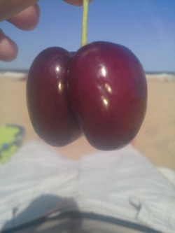 cheezyweapon:  dannfx:  Finest ass on the beach  move over strawbooty, cherry’s got game  hmmm~
