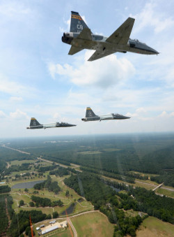 fcba:  T-38 Talons of the US Air Force fly over Columbus AFB, Mississippi, in support of a Missing in Action ceremony in honor of Capt. Frederick Partridge, exactly 63 years after his disappearance. Capt. Partridge was a veteran of the US Army Air Forces