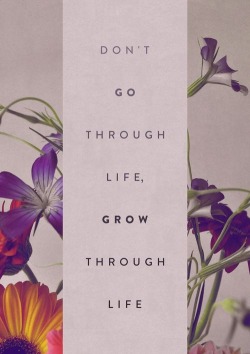 twloha:  &ldquo;Don’t go through life, grow through life.&rdquo; (Source unknown)