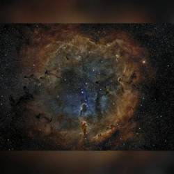 IC 1396: Emission Nebula in Cepheus #nasa #apod #emissionnebula #ic1396 #gas #dust #star #stars #constellation #cepheus #stellarwinds #radiation #atomic #oxygen #hydrogen #sulfur #interstellar #intergalactic #universe #milkyway #galaxy #space #science